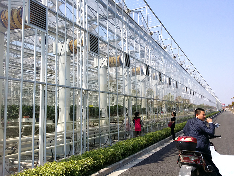 China Cheap price Span Planter - 2021 Hot Sale Venlo Commercial Galvanized Steel Frame Multi-Span Glass Greenhouse with cucumber Soilless cultivation Growing System-PMV014 – Aixiang