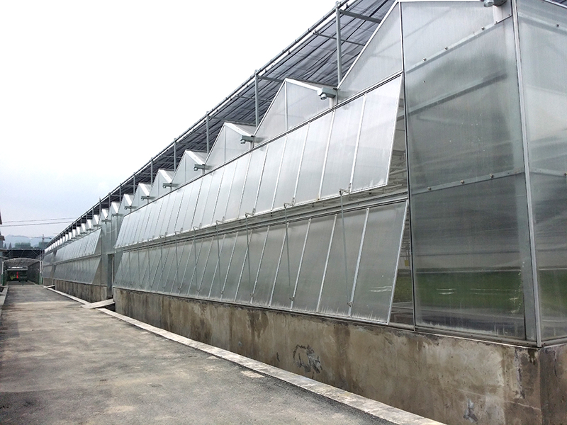 Stort smart produktion jordbruksväxthus med rullbänk-PMV016