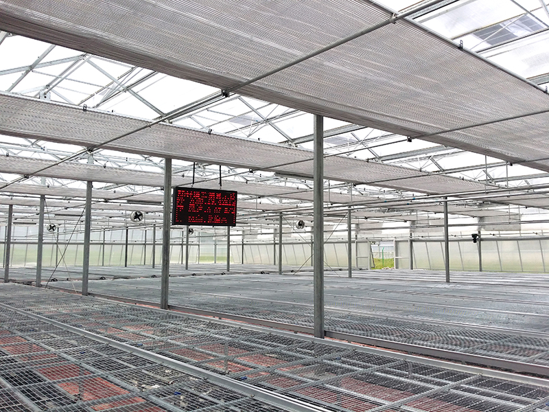 Iso älykäs tuotantomaatalouden kasvihuone, jossa pyörivä penkki-PMV016