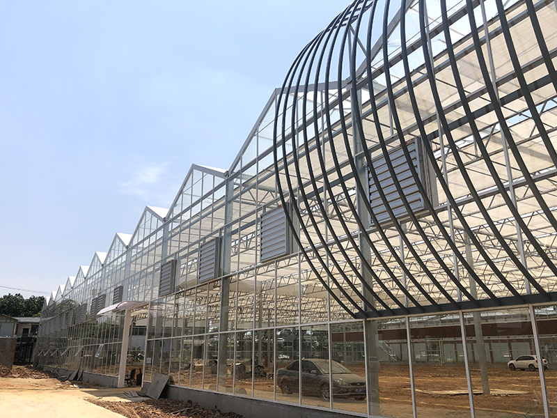 Engineered Greenhouses 10m high for commercial use-PMV018