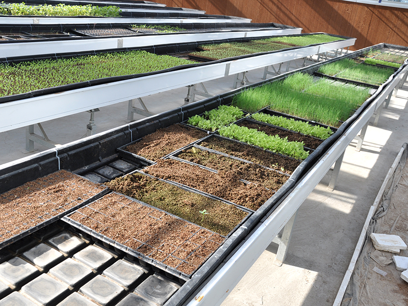 مشتل الزراعة المائية الشتلات بذر المد والجزر Venlo Glass Greenhouse-PMV019