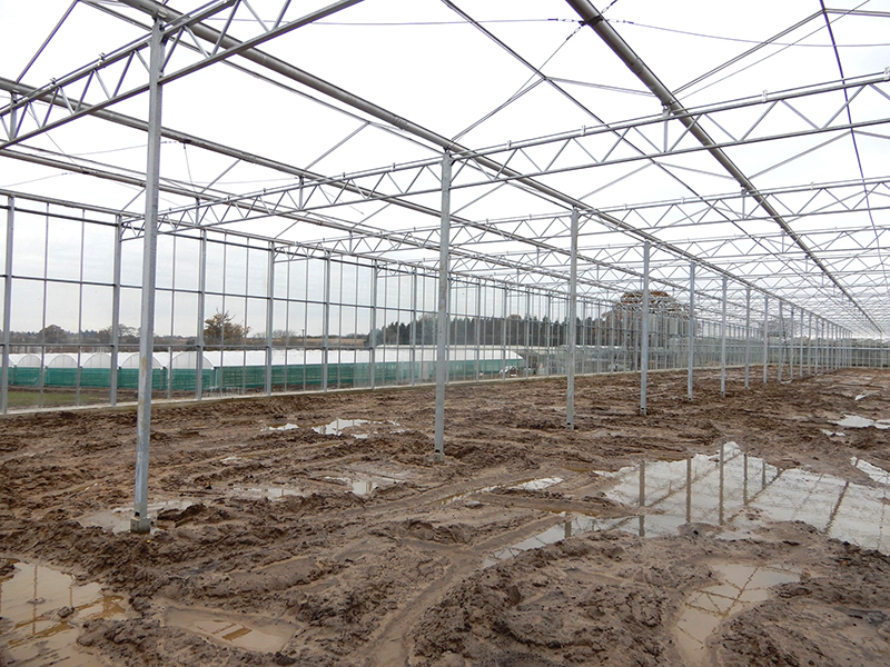 Large area engineered greenhouse venlo glass greenhouse-PMV021