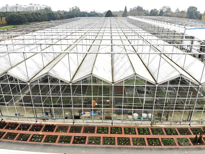 Multi-Span Venlo Type Polycarbonate Board greenhouse