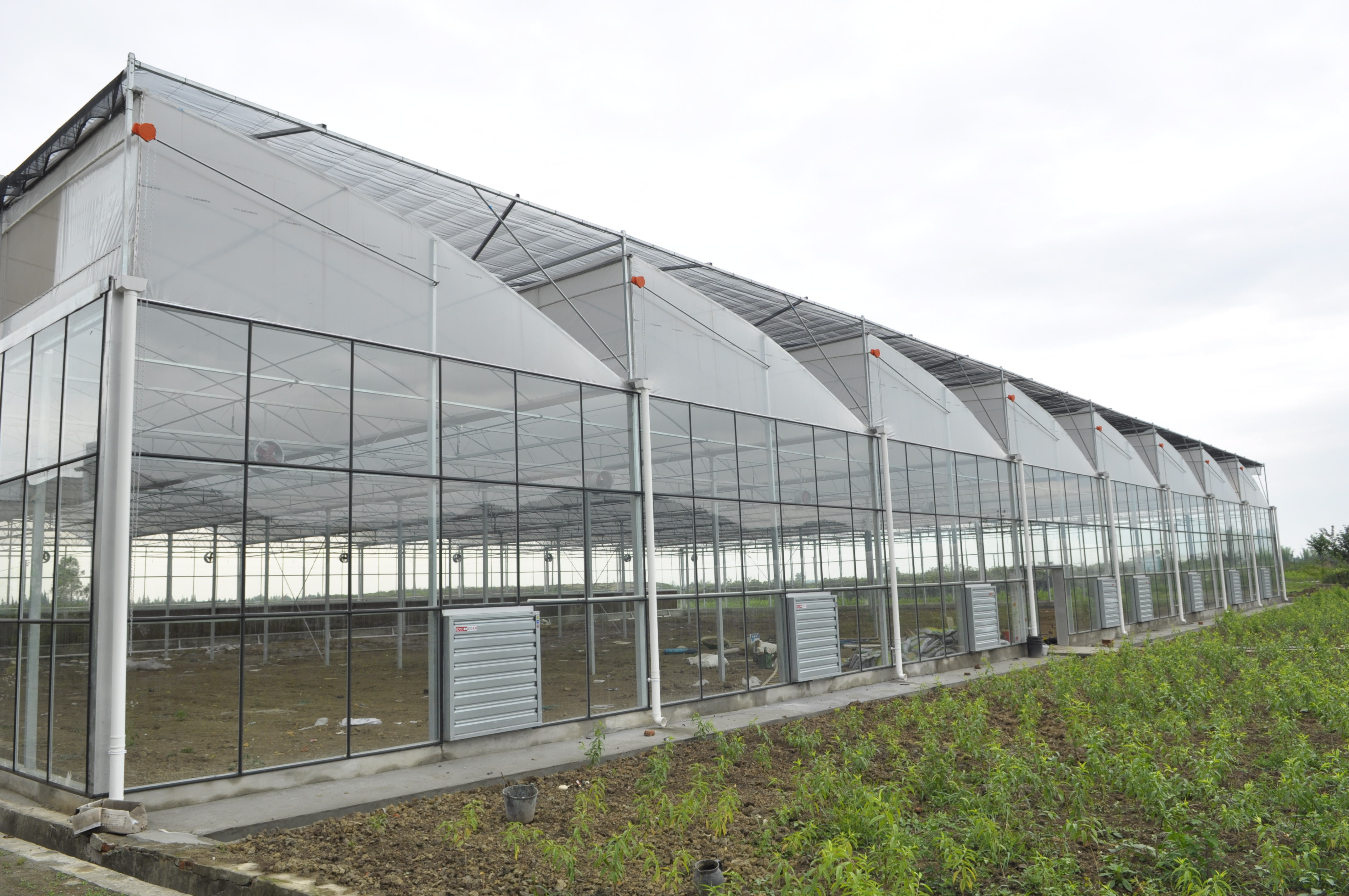 Agricultural ventilate Glass and plastic fim sawtooth greenhouses structure with hydroponic system Featured Image