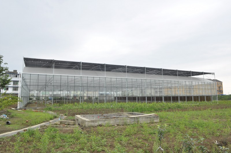 Agricultural ventilate Glass and plastic fim sawtooth greenhouses structure with hydroponic system