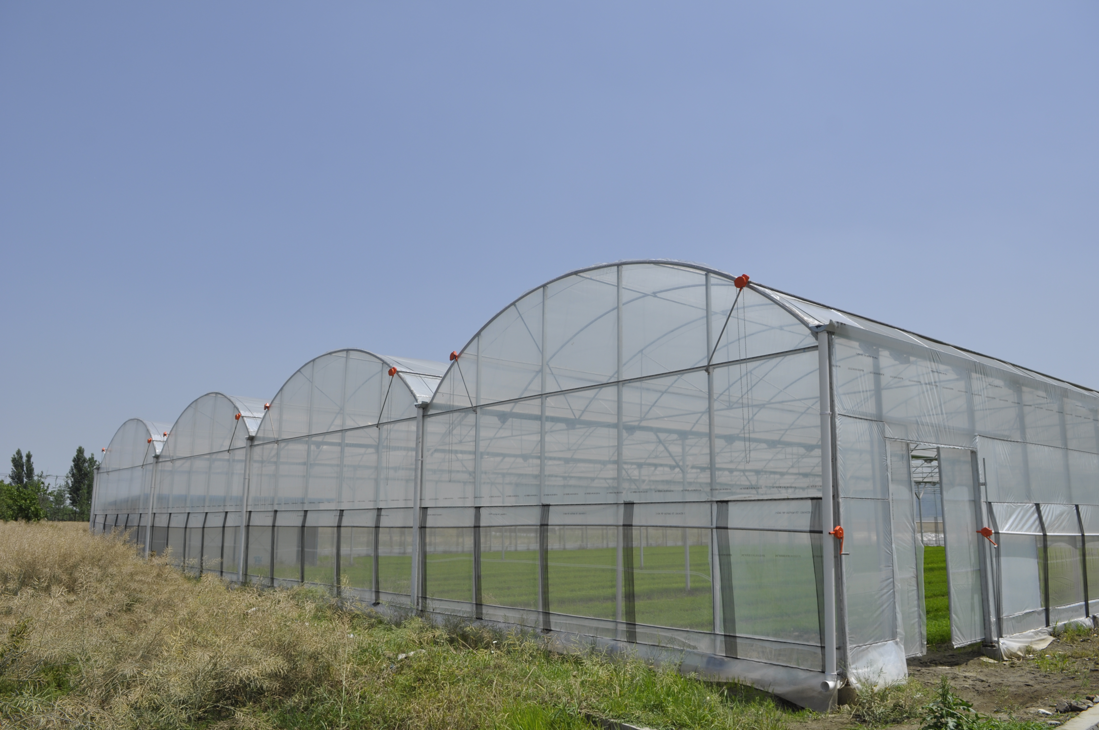 Multi-span plastic film greenhouses