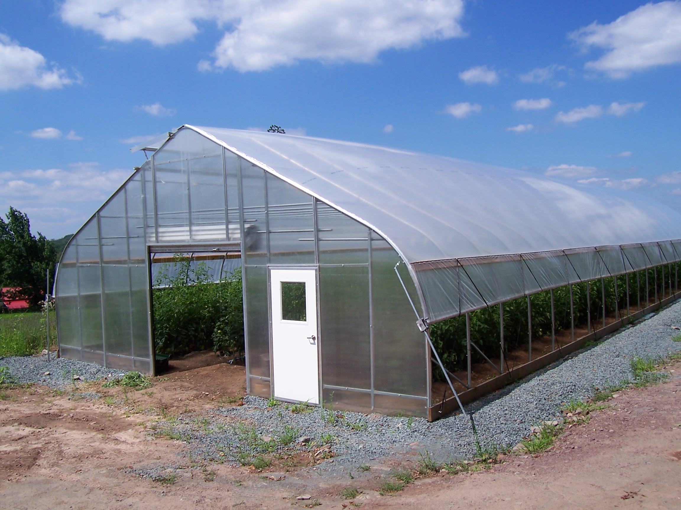 poly tunnel greenhouse