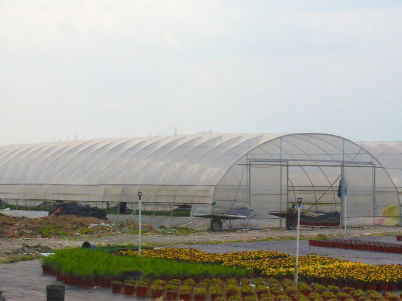 Dome type greenhouse (5)
