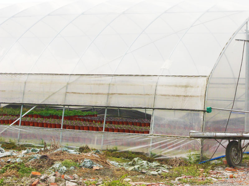 Dome type nga greenhouse (7)
