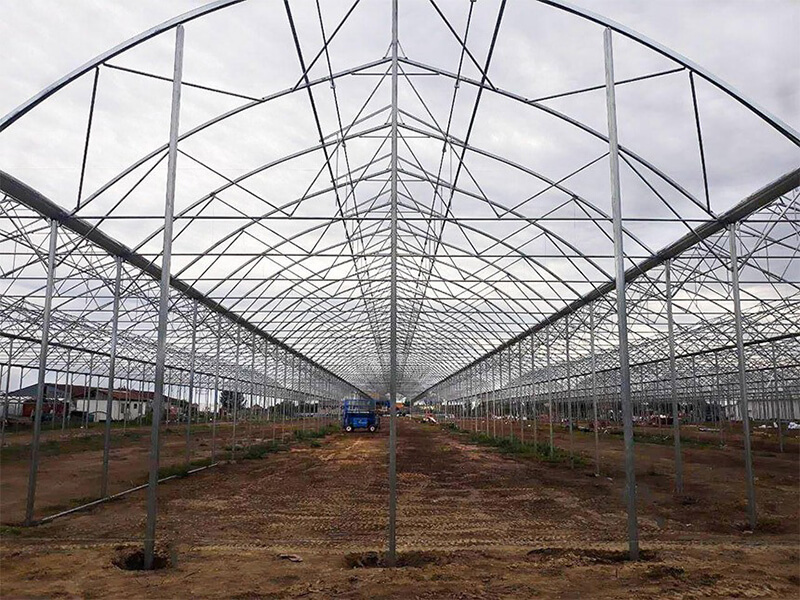 Galvanized Steel Frame Multi Span PE Film Greenhouse For Agriculture Low Cost For Vegetable Plant-PMG001