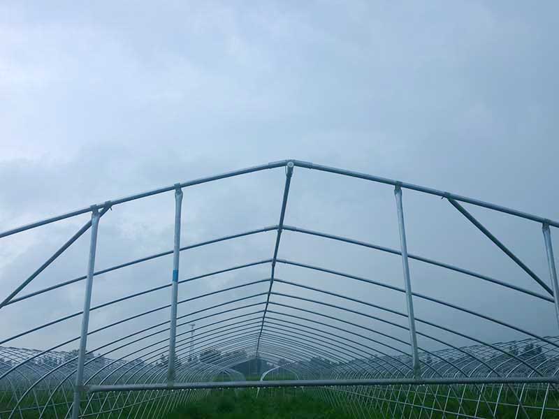 China OEM China Single Span/Commercial/Tunnel/Film Polycarbonate Farm Agriculture Greenhouse-PTG001