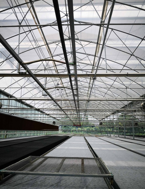 Hot dip Galvanized Steel commercial used glass greenhouse with light deprivation for for herb cultivation
