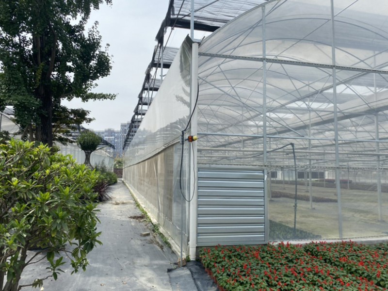 בית ירוק סרט פלסטיק שכבה אחת מסחרית לגידול פרחים חממות חקלאיות רב-טווח עם מערכת הידרופונית