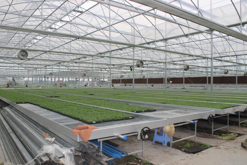 Nursery Seeded Karfe Mesh Rolling Benches Noma Commercial Greenhouse Tables
