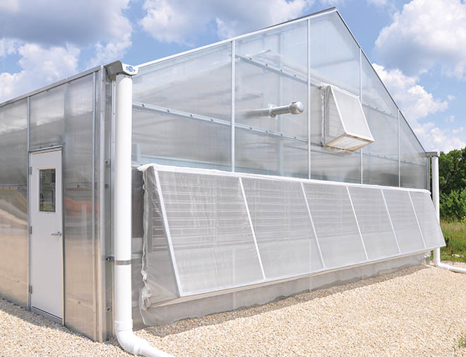 Insect Screens for Greenhouses All You Need to Know