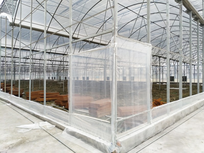 Cooling Pad/Fan Multi Span Greenhouse with Circulation Fan/Cooling System For Commercial Planting-PMD004