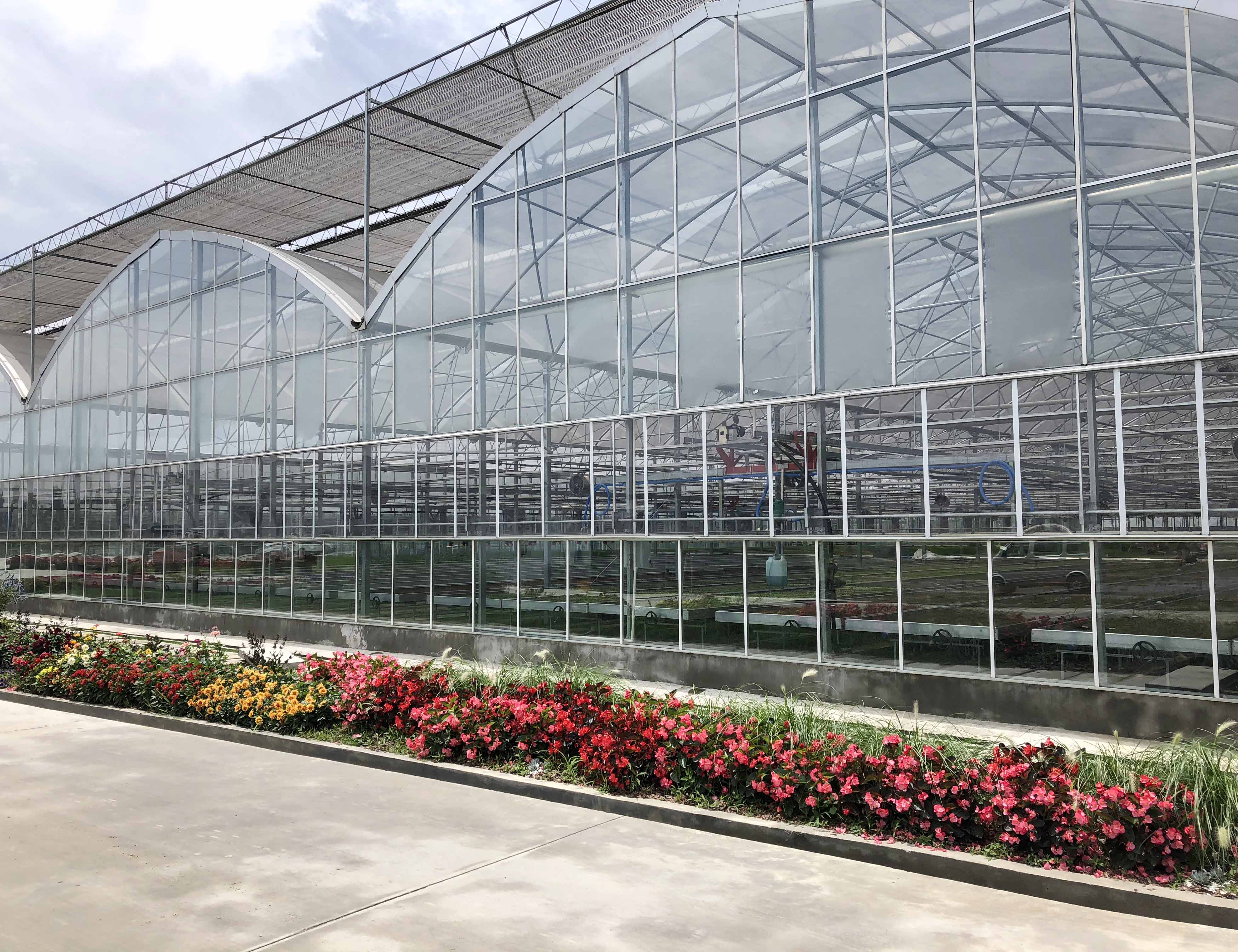 large sawtooth greenhouse glass side top film