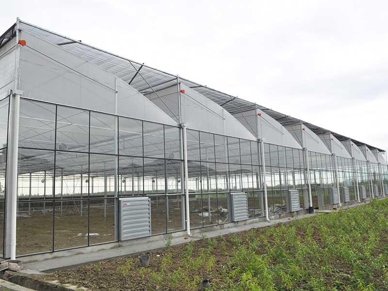 Quality Inspection for China Saw Tooth Roof Opening Ventilation Multi-Span Greenhouse-PMS001