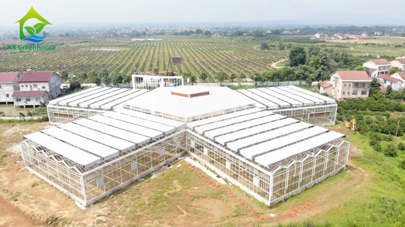Modern Multi-span Venlo glass Greenhouse With intelligent control system