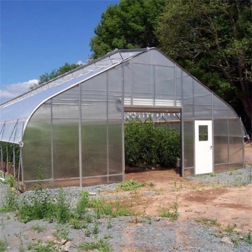 High strength Agricultural poly tunnel tomato green house