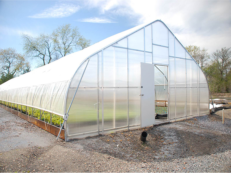 Hot sale factory price commercial plastic film tunnel greenhouse-PTG002