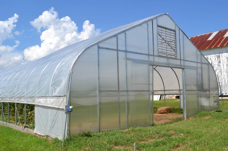 Hot sale factory price commercial plastic film tunnel greenhouse-PTG002