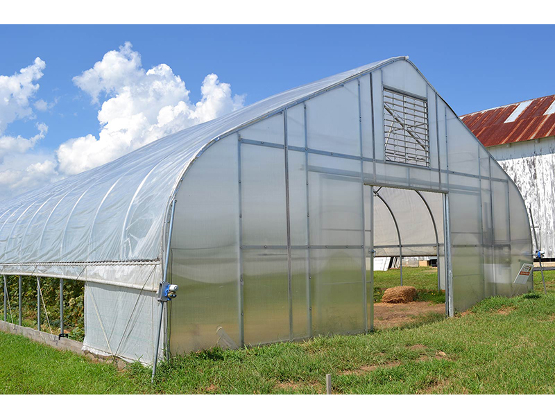 Greenhouse Supplier China Factory Wholesale Polycarbonate Tear Strength Transparent Vegetable Poly Tunnel Greenhouse-PTG004