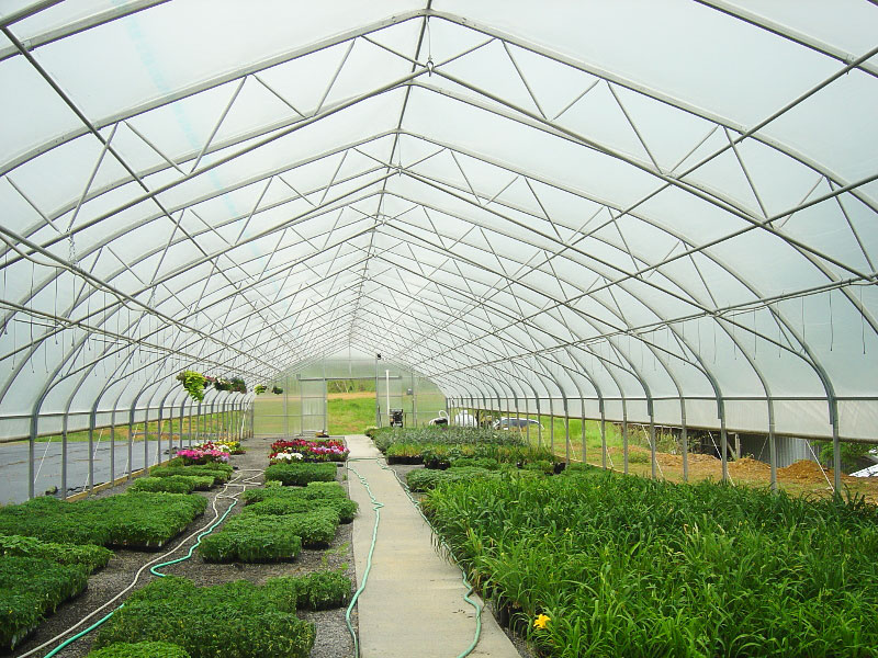 Greenhouse Supplier China Factory Wholesale Polycarbonate Tear Strength Transparent Vegetable Poly Tunnel Greenhouse-PTG004