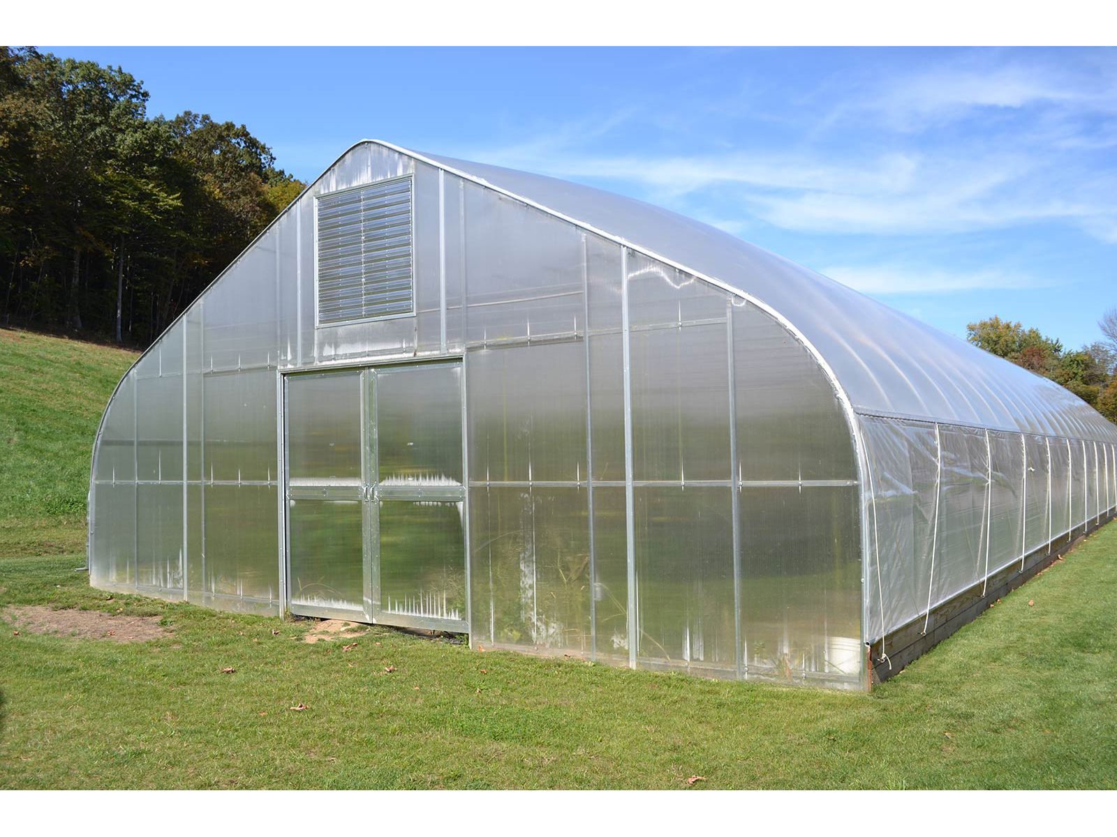 plastic film tunnel greenhouse