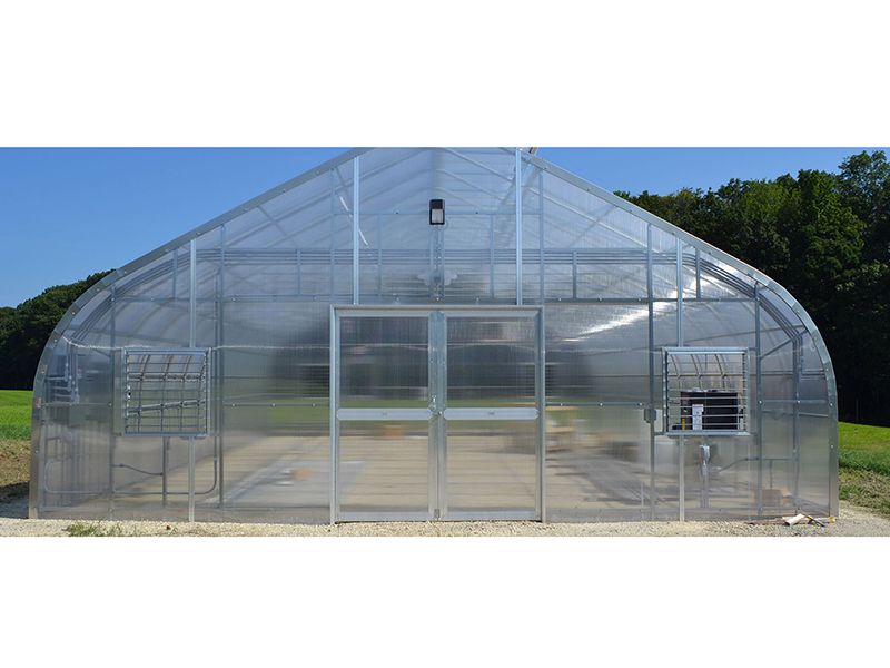 Manufactur standard China Made single Span Winter Greenhouse Film Tunnel PC Board Greenhouse-PTG008