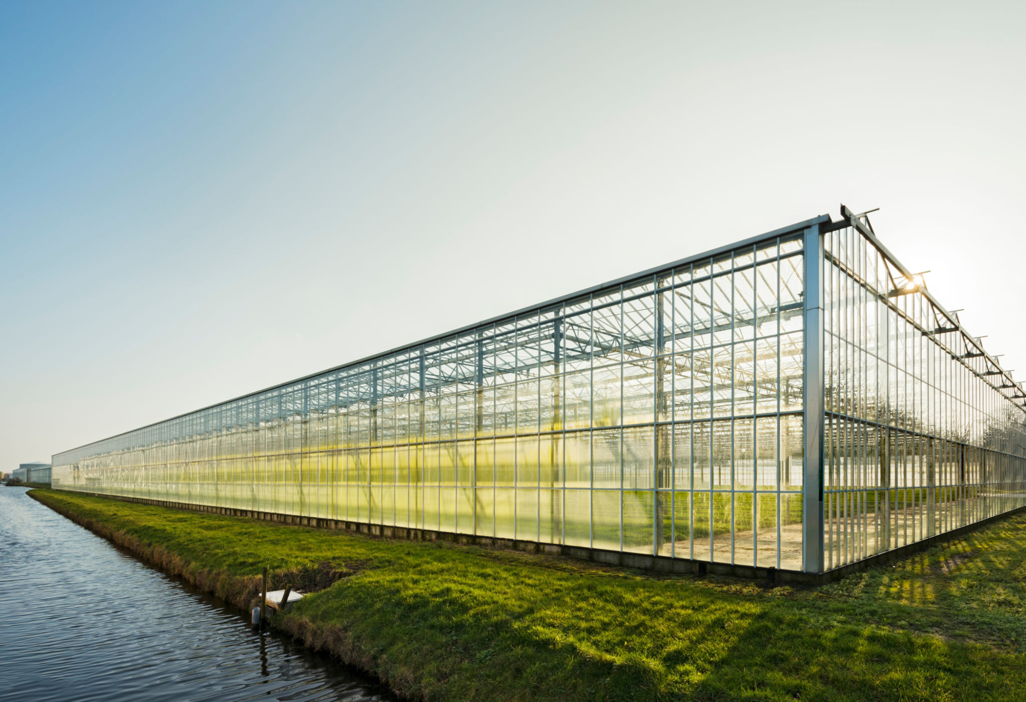 Venlo Greenhouse丨Modern Venlo glass greenhouse丨Life application