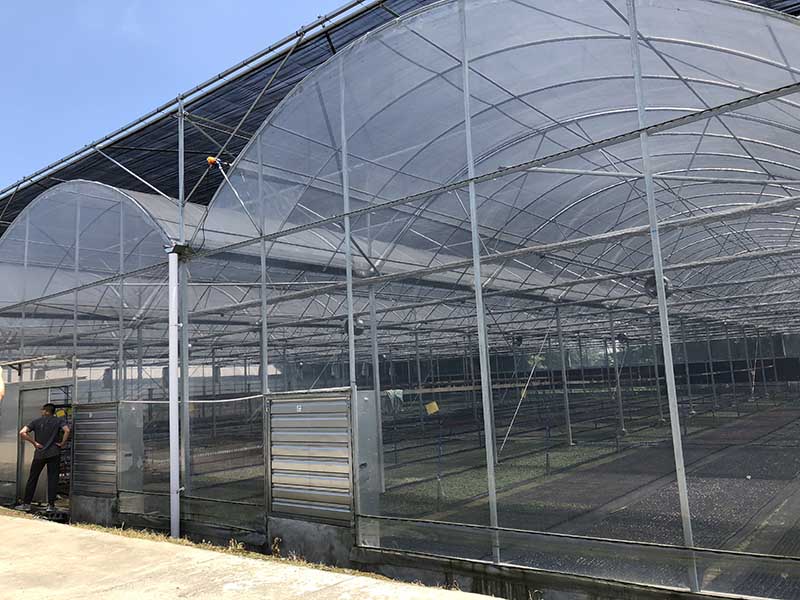 Simple Structure Galvanized Steel Frame PC Polycarbonate/PE Po Film/Glass Multi Span Tomato /Strawberry/Cucumber/Peppers Greenhouses for Garden/Commercial-PMD0014