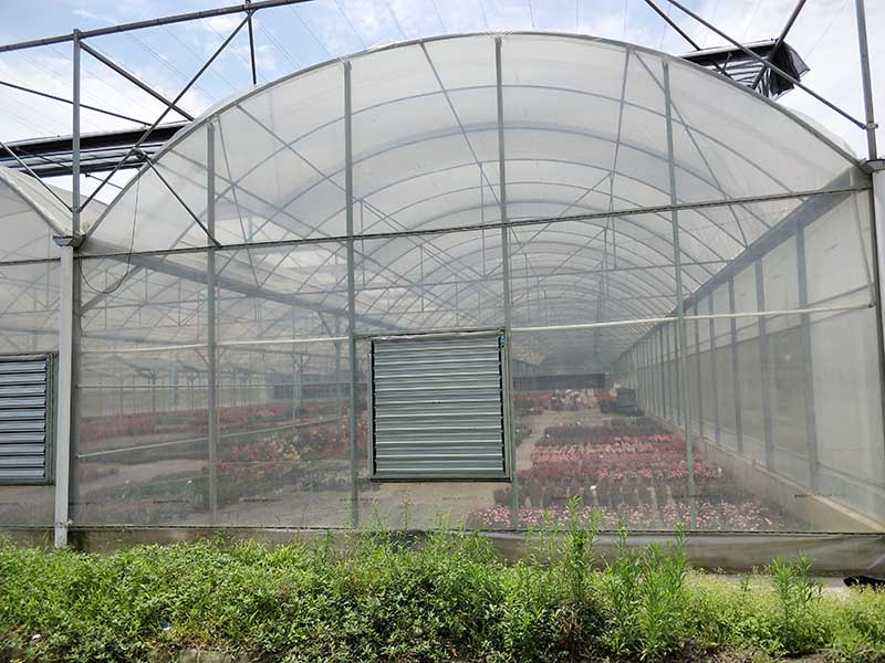 Simple Structure Galvanized Steel Frame PC Polycarbonate/PE Po Film/Glass Multi Span Tomato /Strawberry/Cucumber/Peppers Greenhouses for Garden/Commercial-PMD0014