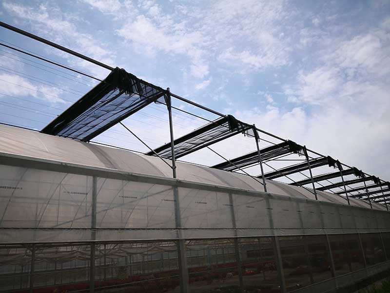 Agricultural Vegetable Multi-Span Plastic/Polycarbonate Sheet Greenhouse for Farming-PMD0017