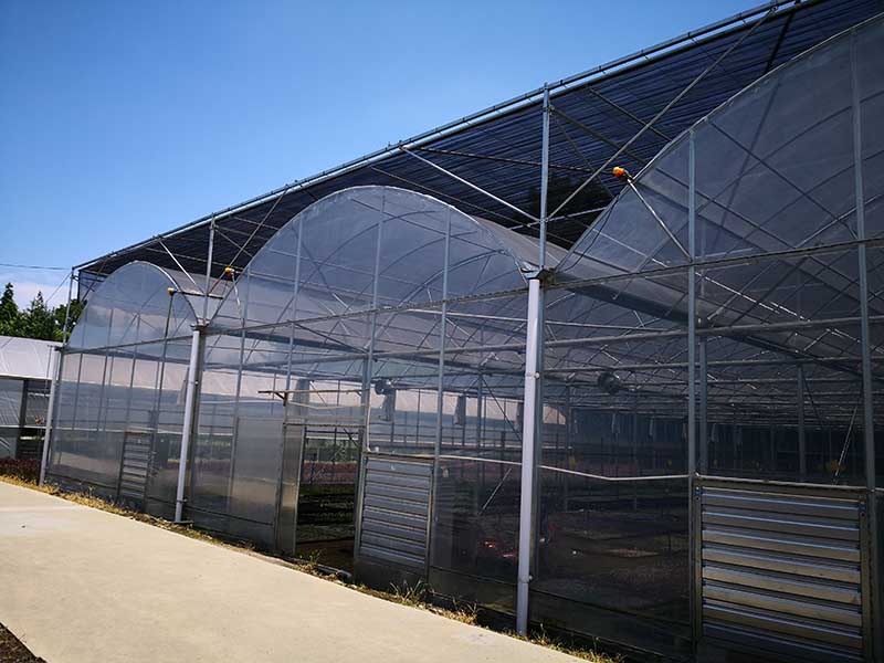 Multi-Span Plastic/Polycarbonate Sheet Greenhouse