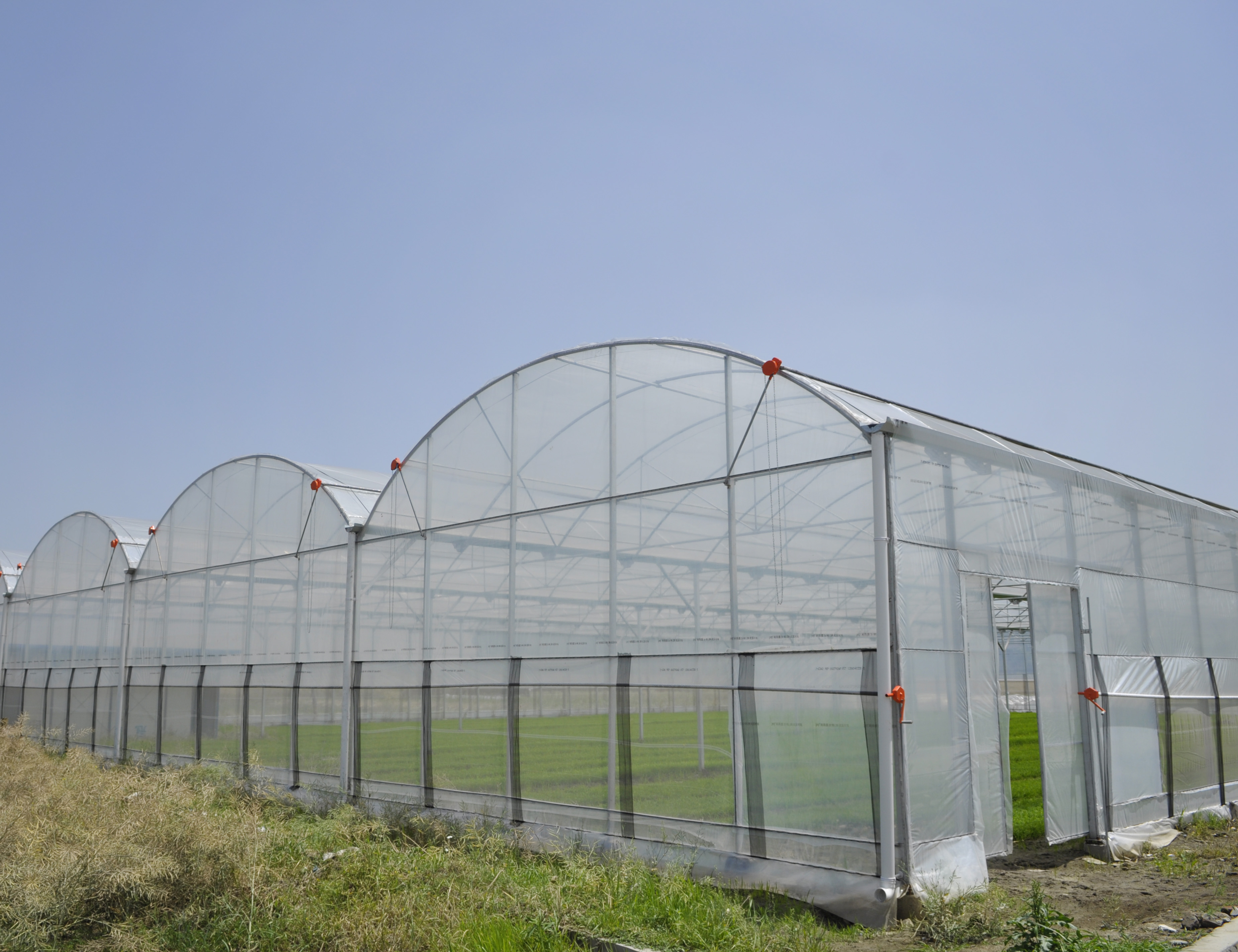 Multispan 4 Season Plastic Film Insect Net Greenhouses For Cucumbers Featured Images