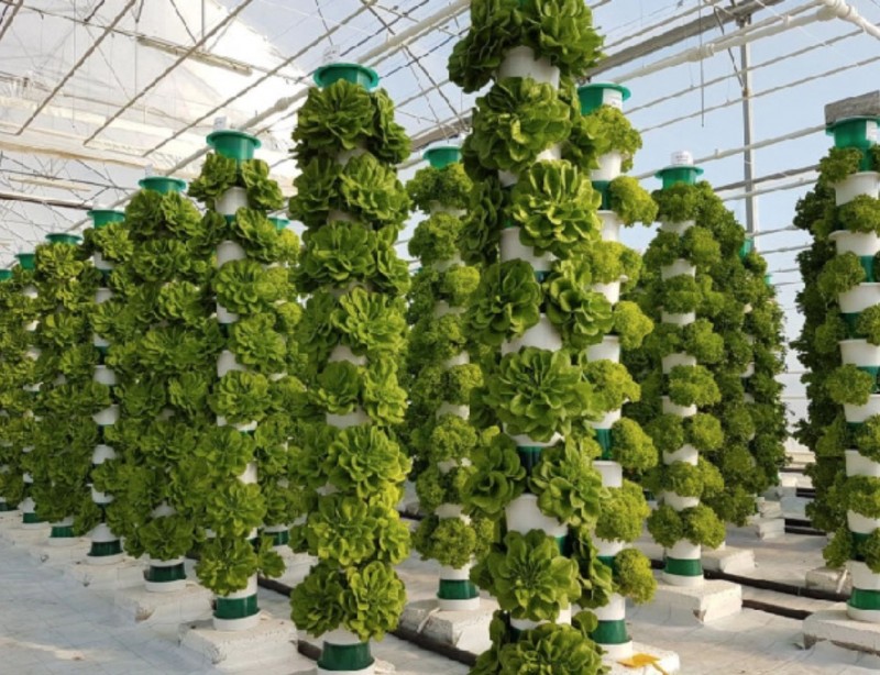 سیستم هیدروپونیک عمودی Nft Hydroponics Growing Grow Kit Systems for Greenhouse Garden Indoor Vegetable Plant