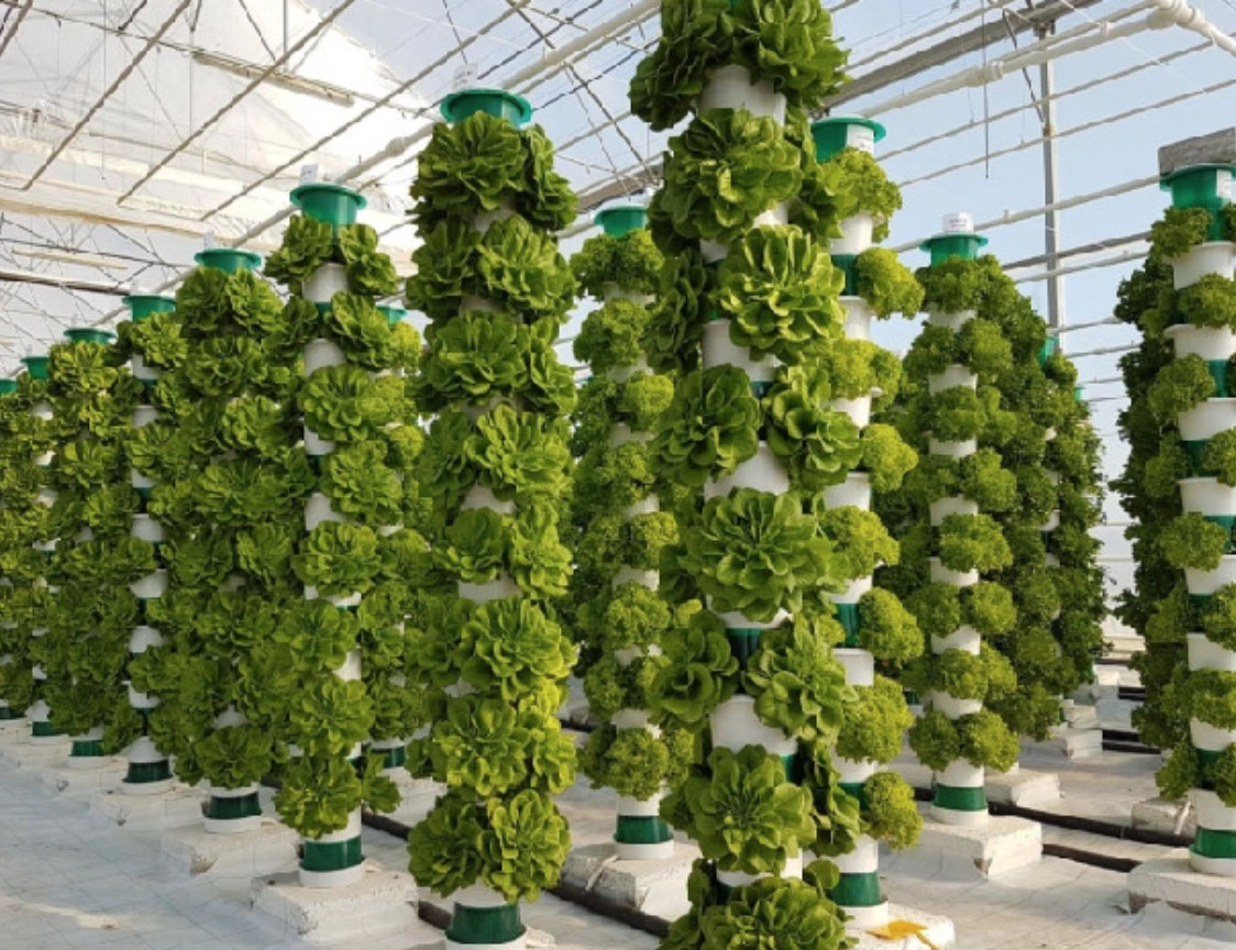 Vertical Hydroponic system