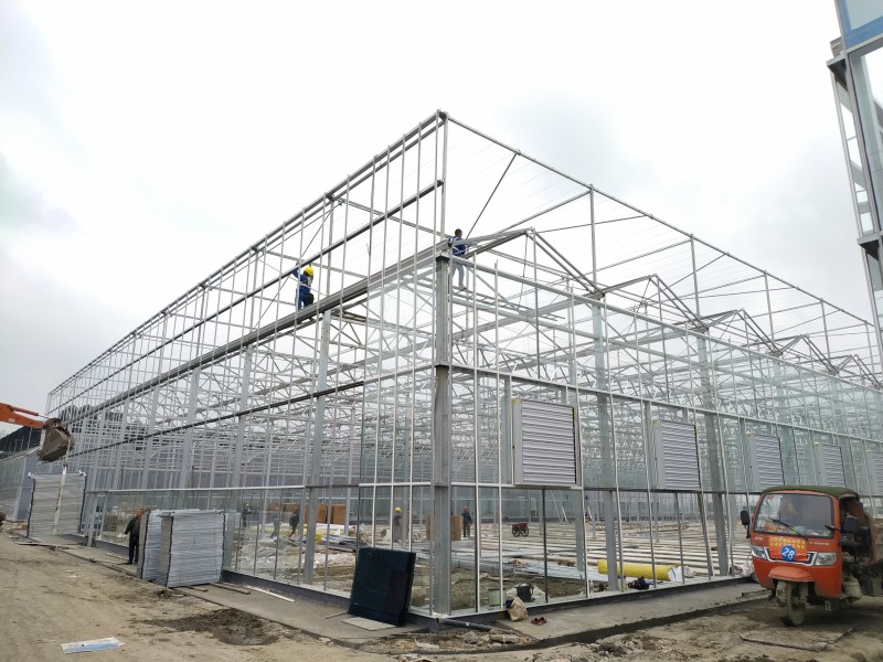 โรงงานที่ถูกที่สุดประเทศจีน Multi-Span Arch/Venlo Type Polycarbonate Board/PC/Glass Greenhouse for Commercial Market /The Belt and Road Initiative/Cucumber/ Lettuce/ Pepper Planting-PMV006