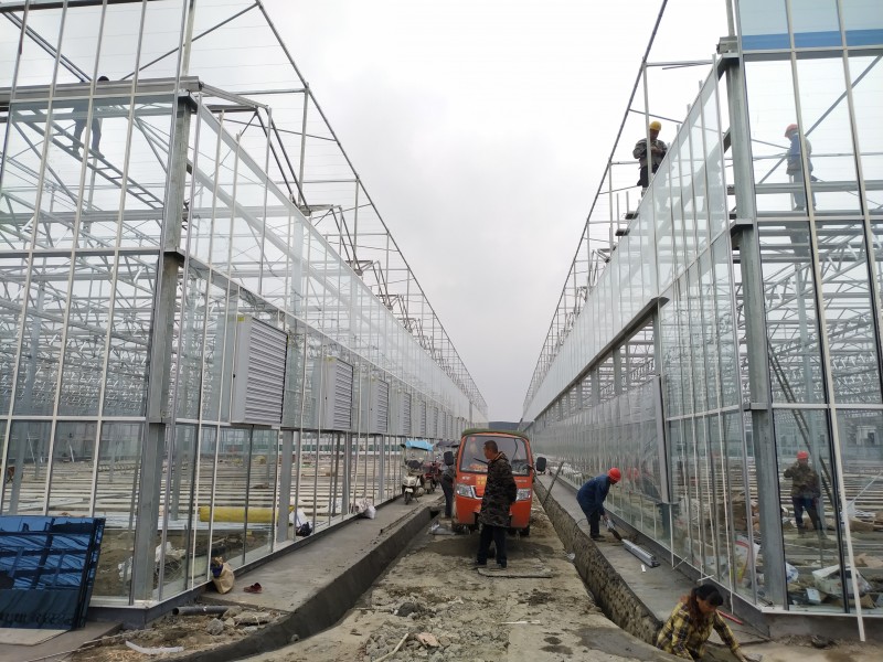 Cheapest Factory China Multi-Span Arch/Venlo Type Polycarbonate Board/PC/Glass Greenhouse for Commercial Market /The Belt and Road Initiative/Cucumber/ Lettuce/ Pepper Planting-PMV006