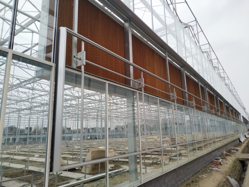 Ụlọ ọrụ dị ọnụ ala China Multi-Span Arch/Venlo Ụdị Polycarbonate Board/PC/Glass Greenhouse for Commercial Market /The Belt and Road Initiative/Cucumber/ Lettuce/ Pepper Planting-PMV006