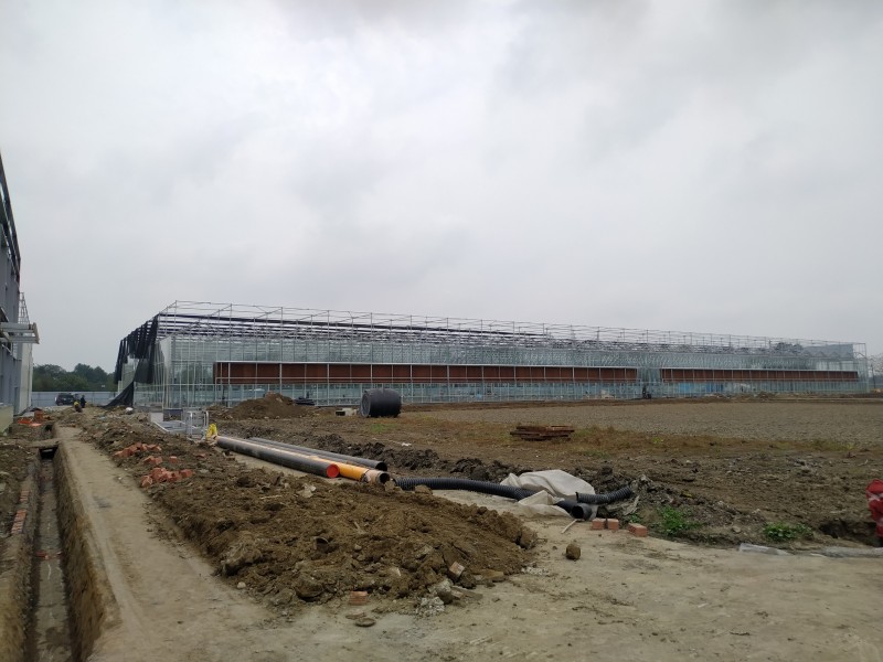 โรงงานที่ถูกที่สุดในจีน Multi-Span Arch/Venlo Type Polycarbonate Board/PC/Glass Greenhouse for Commercial Market /The Belt and Road Initiative/Cucumber/ Lettuce/ Pepper Planting-PMV006