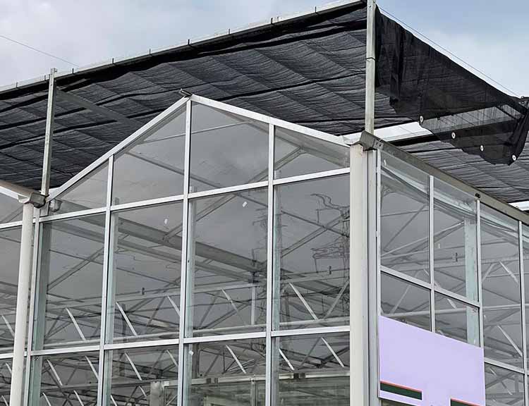Venlo glass house green house multi-span zezolimo greenhouses zithengiswa