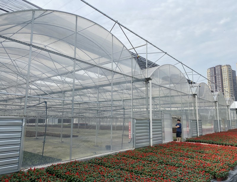 Commercial Single layer Plastic Film Green House for flower growing Multi-span Agricultural Greenhouses with hydroponic system