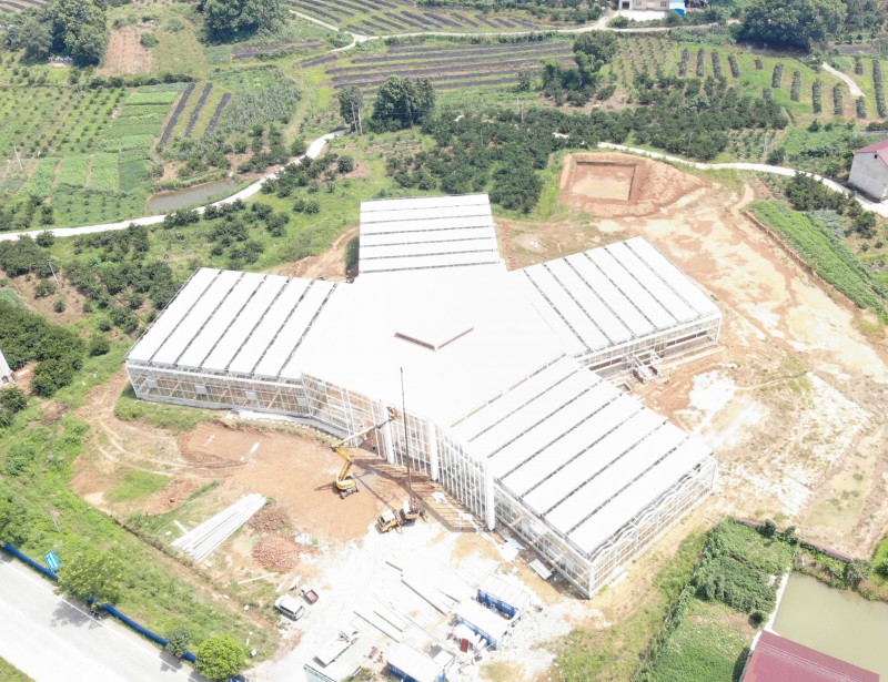Modern Multi-span yeglasi Venlo Greenhouse Ngenkqubo yolawulo olukrelekrele