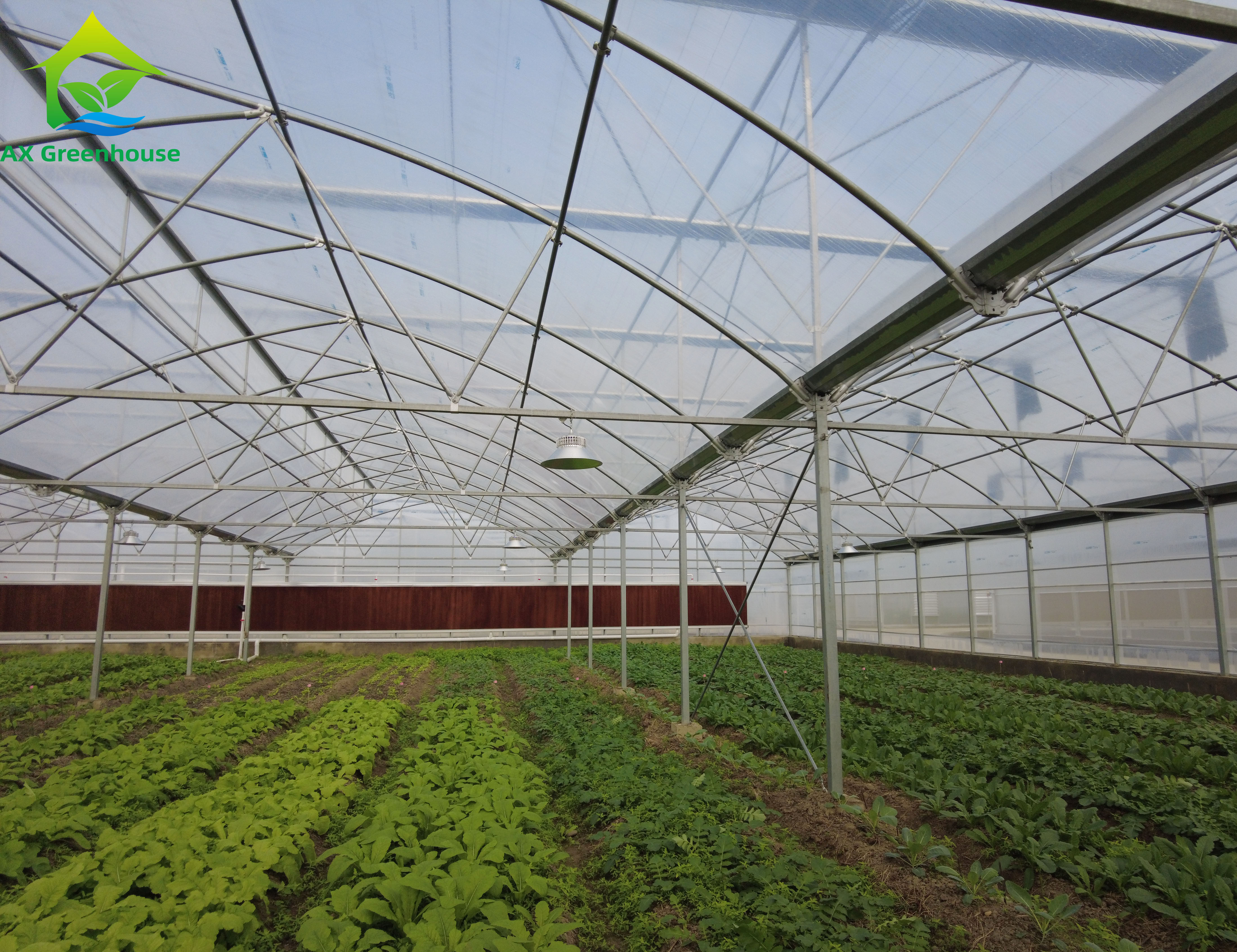 Quality Assurance Sawtooth Tropical Hydroponic Plastic Film Greenhouses for Sale Featured Image