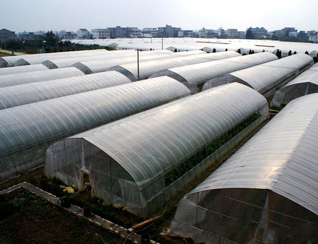Terowongan Film Plastik Rumah Kaca set lengkap untuk sayuran rumah kaca tumbuh stroberi