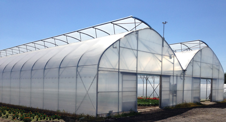 Application of colorful hollow PC pannel sheet in orchid greenhouse