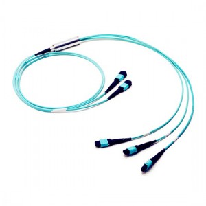 Ikhebula le-MTPMPO-Trunk-sm-cable