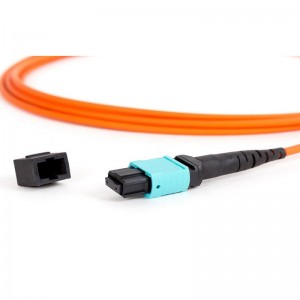 MTPMPO Male-12SM-Eilte-kabel